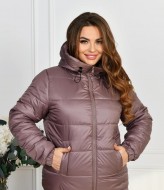 Женская куртка демисезонная с капюшоном DV-R4374A800