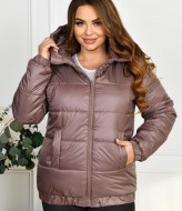 Женская куртка демисезонная с капюшоном DV-R4374A800