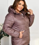 Женская куртка демисезонная с капюшоном DV-R4374A800