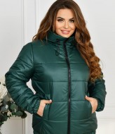 Женская куртка демисезонная с капюшоном DV-R4374A800