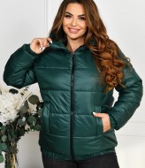 Женская куртка демисезонная с капюшоном DV-R4374A800