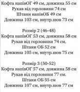 Вельветовий костюм двійка IND-2067A550