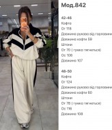 Костюм двійка JAC-842A760