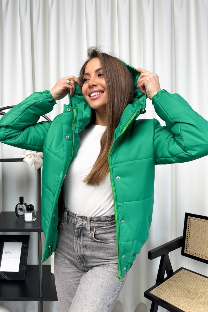 Куртка з капюшоном VMS-0138A650