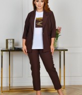 Костюм тройка женский брючный DV-R4390A850