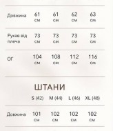 Велюровый спортивный костюм KC-0549A600