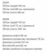 Костюм спортивный с начесом ANM-117A550