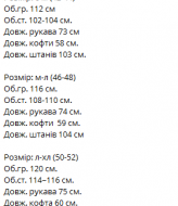Флісовий спортивний костюм VM-10549A620