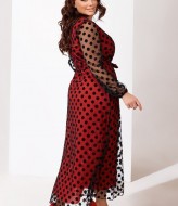 Ошатне плаття з сіткою IV-0222A700