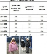 Дитяча зимова куртка EV-2577A800