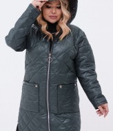 Демісезонна куртка LSH-857A21