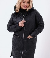 Демісезонна куртка LSH-857A21