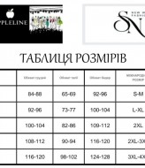 Спортивный велюровый костюм AD-7992.1A600