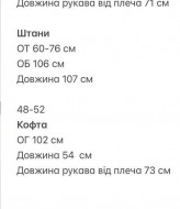 Велюровый костюм TOR-001A650