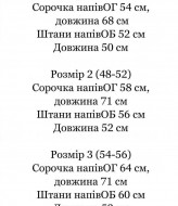 Мужской летний костюм IND-7002A550