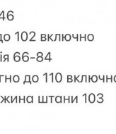 Стильний прогулянковий костюм INNA-770A550