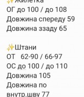 Вільний костюм 2-ка жилетка+штани RAB-738A639