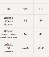 Костюм футболка + штани KC-0546A650