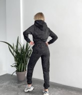 Прогулочный спортивный костюм TS-439.3A960