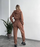 Прогулочный спортивный костюм TS-439.3A960