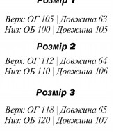 Жіночий спортивний костюм EFR-174A480