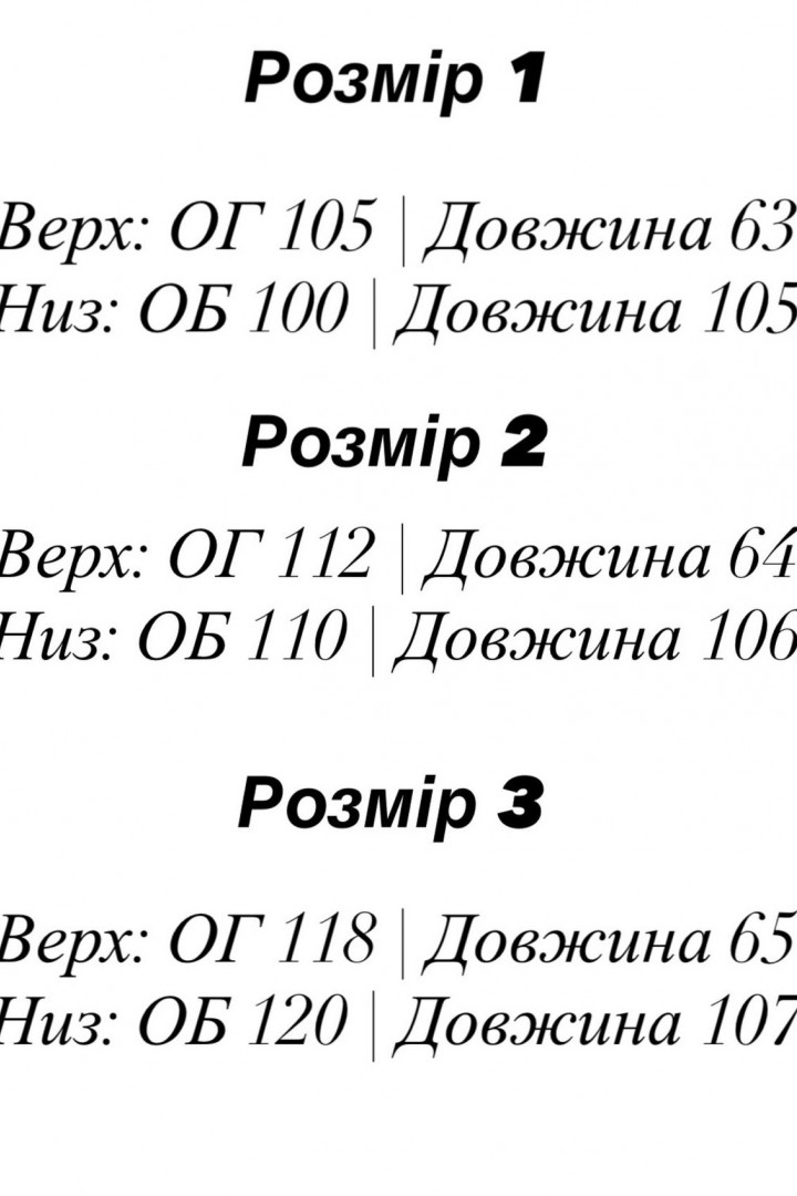 Жіночий спортивний костюм EFR-174A480
