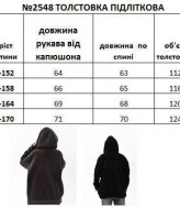 Толстовка унісекс EV-2548A650