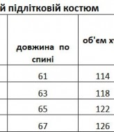 Костюм подростковый EV-2612A1050