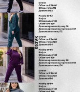 Велюровый костюм женский спортивный VK-053A750