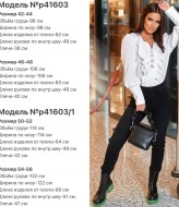 Блузка с рюшами DG-p41603A300