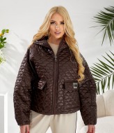 Куртка демисезонная OLD-7017A25