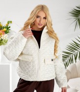 Куртка демисезонная OLD-7017A25