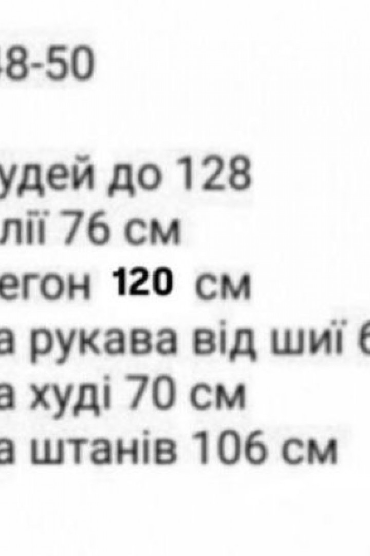 Теплый спортивный костюм AKS-141A1100