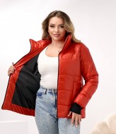 Демисезонная куртка DV-R4432A800