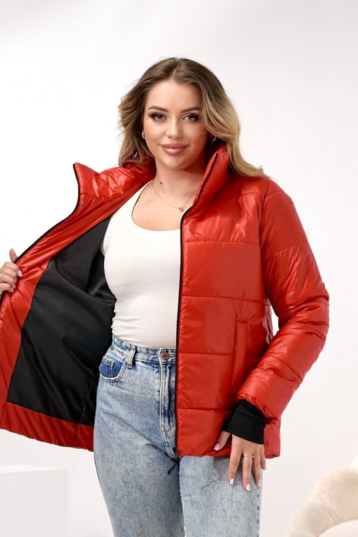 Демисезонная куртка DV-R4432A800