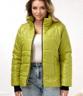 Демисезонная куртка DV-R4432A800