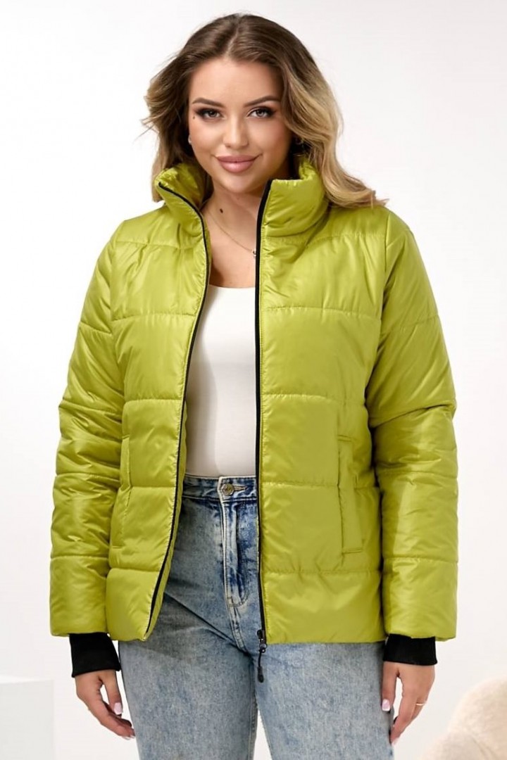 Демисезонная куртка DV-R4432A800