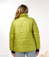 Демисезонная куртка DV-R4432A800