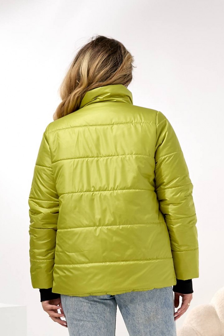 Демисезонная куртка DV-R4432A800