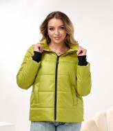 Демисезонная куртка DV-R4432A800