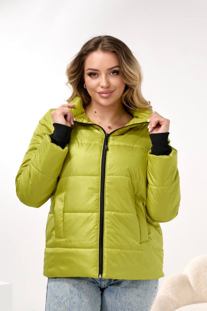 Демисезонная куртка DV-R4432A800