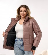 Демисезонная куртка DV-R4432A800