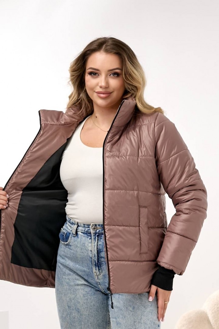 Демисезонная куртка DV-R4432A800