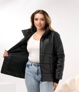 Демисезонная куртка DV-R4432A800