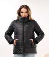 Демисезонная куртка DV-R4432A800