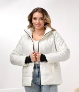 Демисезонная куртка DV-R4432A800