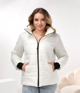 Демисезонная куртка DV-R4432A800