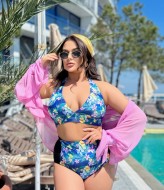 Купальник раздельный для полных ET-707A550