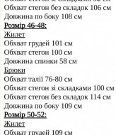 Брюки с жилеткой KC-3270A650