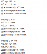 Мужской костюм VM-10547A750